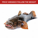 顺壳鱼(杀净) 600/700  SOON HOCK FISH-PC