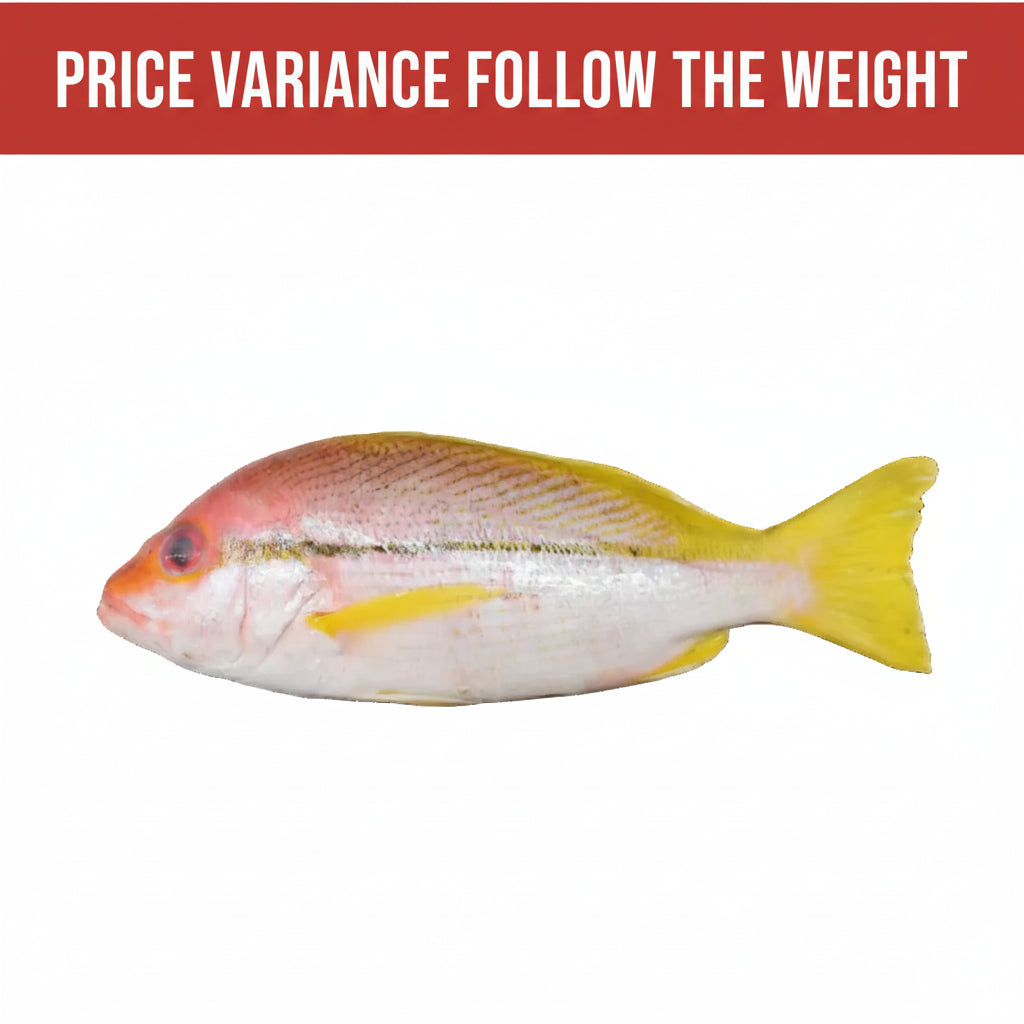 冻记鱼 CLEANED KEE FISH - KG