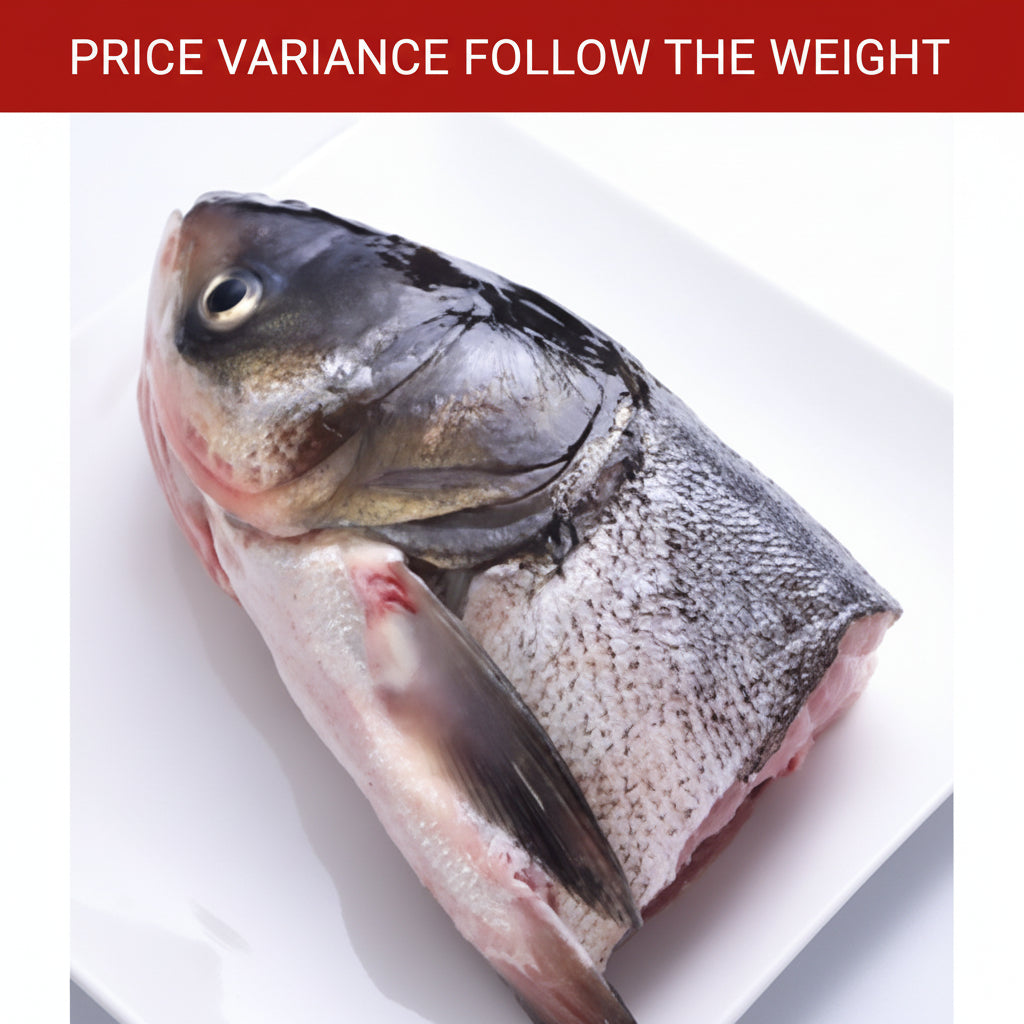 松鱼头 SONG FISH HEAD