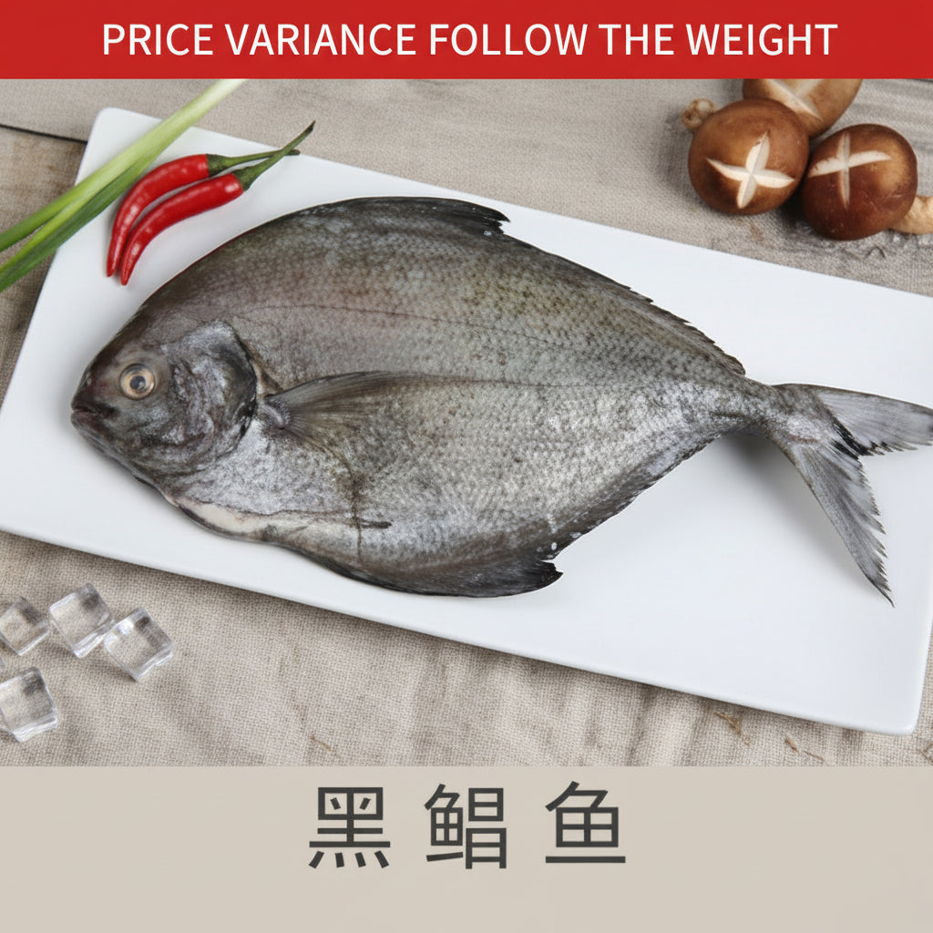 黑鲳鱼 FZ BLACK POMFRET CLEANED
