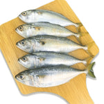 甘蒙鱼 - 甘望鱼 6/8 KAMPUNG FISH - INDIAN MACKEREL 1KG
