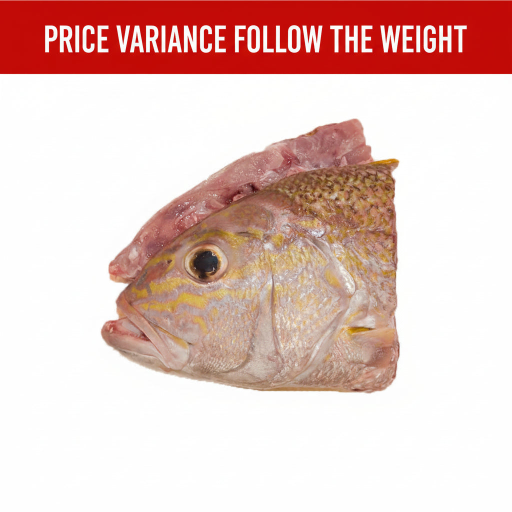 冻红哥里鱼头 FROZEN ANG GO LI HEAD