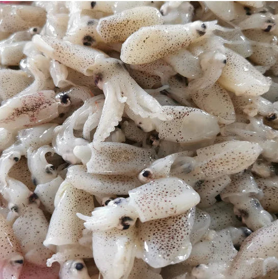 苏东珠 WHOLE BABY  SOTONG 1 INCH (500G*20PKT)